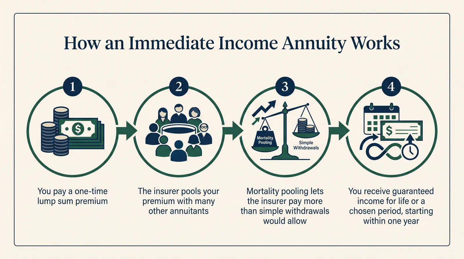 Infographic titled 'How an Immediate Income Annuity Works' showing a four-step flow: Step 1, you pay a one-time lump sum premium; Step 2, the insurer pools your premium with many other annuitants; Step 3, mortality pooling lets the insurer pay more than simple withdrawals would allow; Step 4, you receive guaranteed income for life or a chosen period, starting within one year