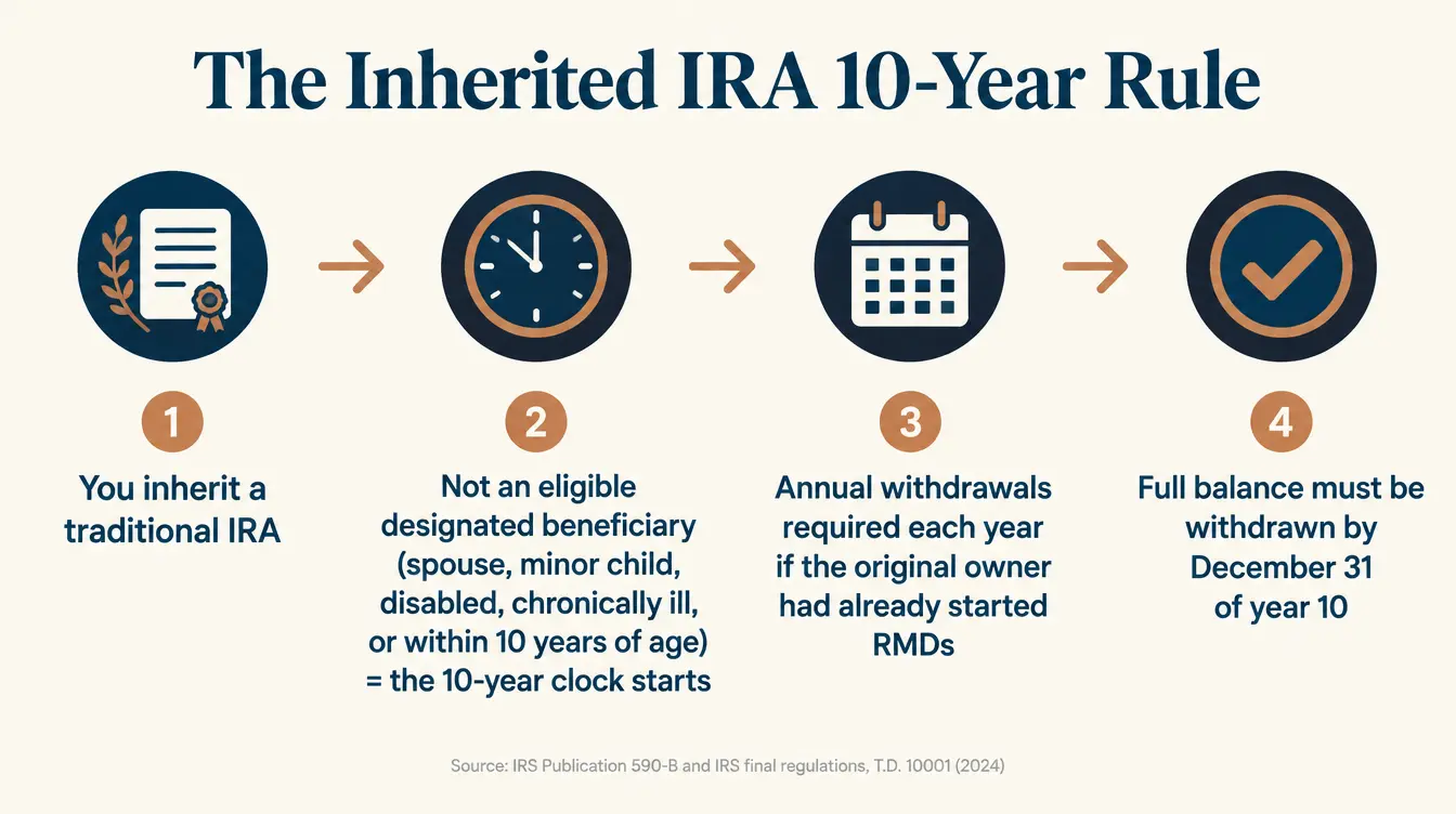 Infographic titled 'The Inherited IRA 10-Year Rule' showing a four-step flow: Step 1, you inherit a traditional IRA; Step 2, if you are not an eligible designated beneficiary (spouse, minor child, disabled, chronically ill, or within 10 years of age) the 10-year clock starts; Step 3, annual withdrawals are required each year if the original owner had already started RMDs; Step 4, the full balance must be withdrawn by December 31 of year 10. Source: IRS Publication 590-B and IRS final regulations, T.D. 10001, 2024