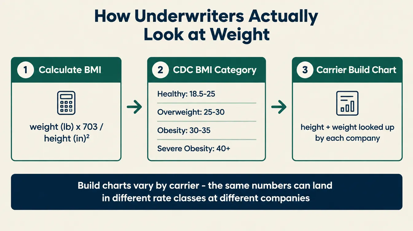 Infographic titled 'How Underwriters Actually Look at Weight' showing the CDC adult BMI categories (underweight under 18.5, healthy weight 18.5 to under 25, overweight 25 to under 30, obesity 30 and above, with Class 3 severe obesity at 40 and above), an arrow into a build chart lookup by height and weight, and a callout noting that build charts vary by carrier so the same numbers can land in different rate classes at different companies